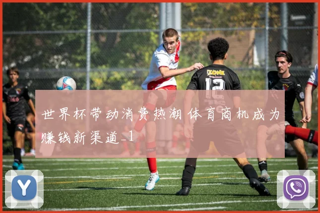 世界杯带动消费热潮 体育商机成为赚钱新渠道_1