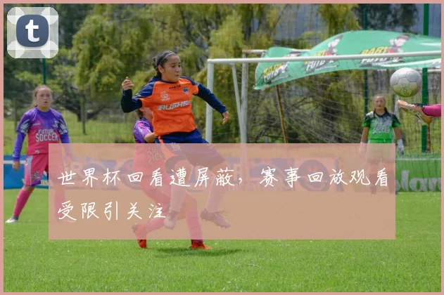 世界杯回看遭屏蔽，赛事回放观看受限引关注