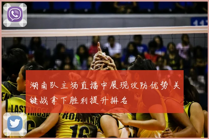 湖南队主场直播中展现攻防优势 关键战拿下胜利提升排名