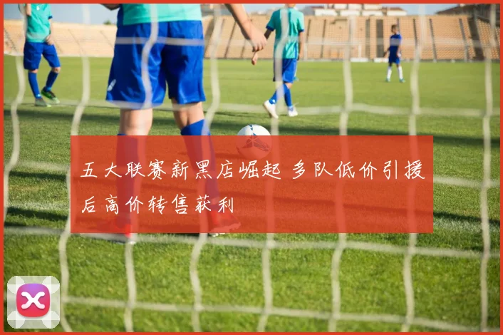 五大联赛新黑店崛起 多队低价引援后高价转售获利